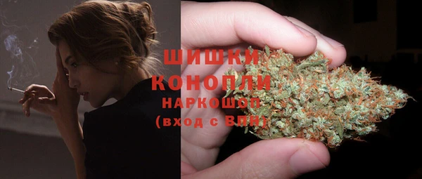 ГАЛЛЮЦИНОГЕННЫЕ ГРИБЫ Остров
