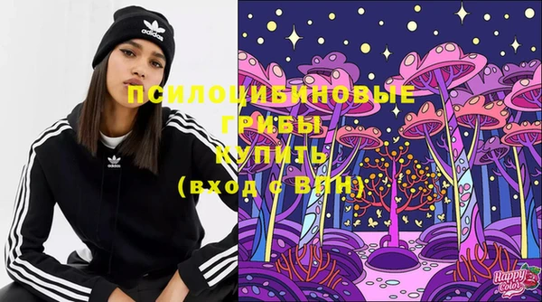 а пвп мука Осташков