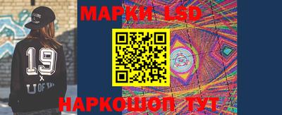 шишки Абакан