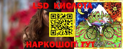 прущие грибы Абакан