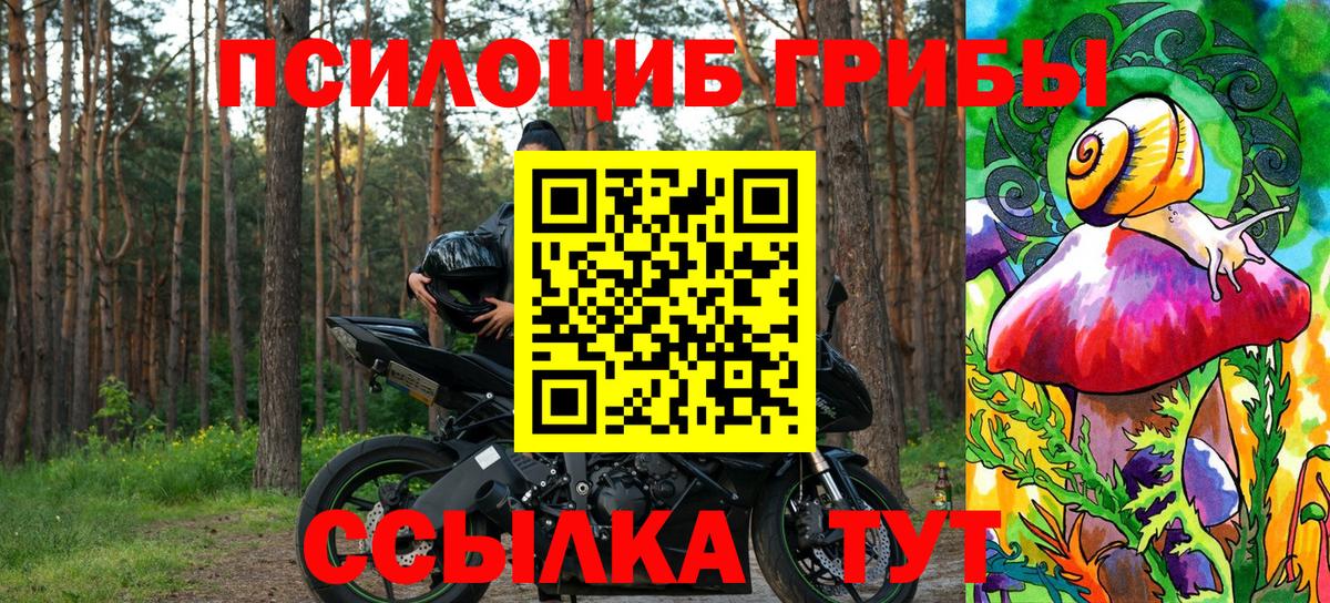 Ангарск  Псилоцибиновые грибы прущие грибы  Псилоцибиновые грибы Cubensis  Вход с VPN 