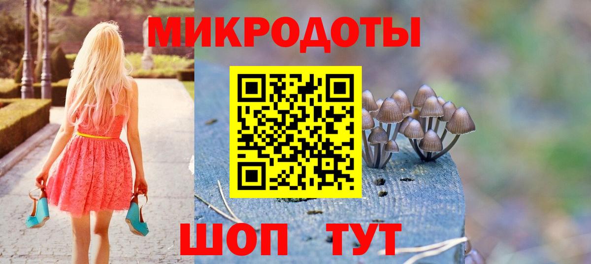 Галлюциногенные грибы Psilocybine cubensis  Галлюциногенные грибы GOLDEN TEACHER  Ангарск 